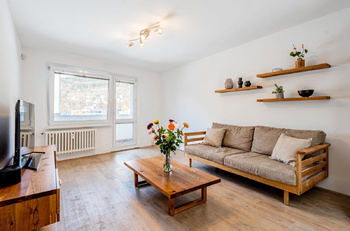 VIZUALIZACE - takto si můžete vybavit obývací místnost - Pronájem bytu 3+1 v osobním vlastnictví 64 m², Vsetín