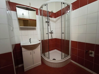 Pronájem bytu 3+1 v družstevním vlastnictví 79 m², České Budějovice