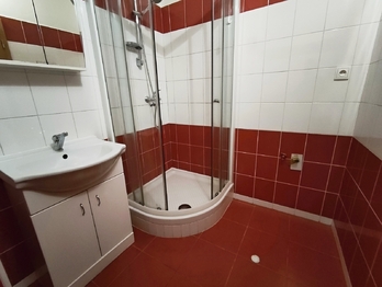 Pronájem bytu 3+1 v družstevním vlastnictví 79 m², České Budějovice