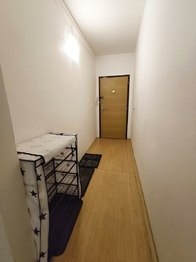 Pronájem bytu 3+1 v družstevním vlastnictví 79 m², České Budějovice