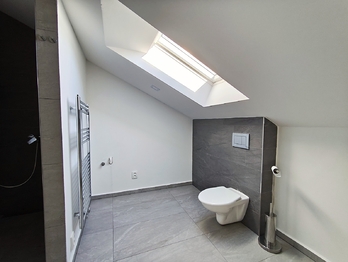 Pronájem bytu 2+kk v osobním vlastnictví 59 m², Kamenný Újezd