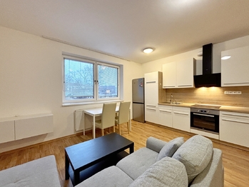 Pronájem bytu 1+kk v osobním vlastnictví 45 m², České Budějovice