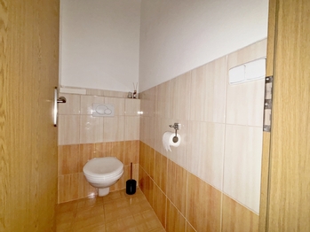 Pronájem bytu 1+kk v osobním vlastnictví 45 m², České Budějovice