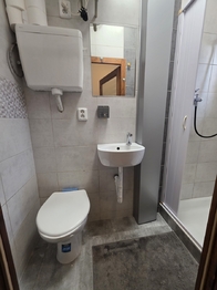 WC a umyvadlo - Pronájem bytu 1+kk v osobním vlastnictví 27 m², Brno