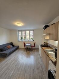 rozkládací sedačka s jídelním stolem a kuchynskou linkou - Pronájem bytu 1+kk v osobním vlastnictví 27 m², Brno