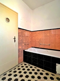 koupelna - vana - Prodej domu 270 m², Duchcov