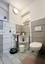 Prodej domu 165 m², Malíč