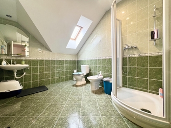 horní koupelna - Prodej domu 170 m², Duchcov
