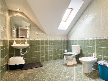 horní koupelna - Prodej domu 170 m², Duchcov