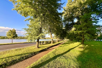 park před domem - Prodej domu 170 m², Duchcov