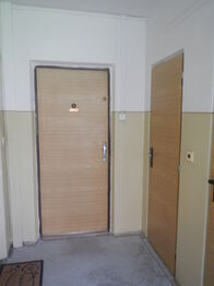 Pronájem bytu 2+kk v družstevním vlastnictví 40 m², Most