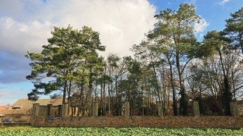 Prodej pozemku 1600 m², Poštovice