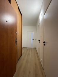 Prodej bytu 1+1 v osobním vlastnictví 42 m², Kladno