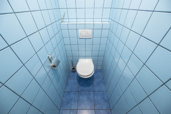 Pronájem domu 150 m², Mirošovice