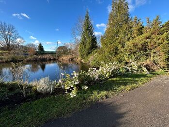 Prodej ubytovacího zařízení 233 m², Rabyně