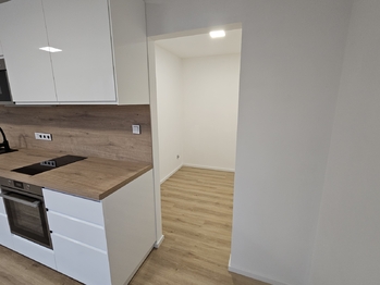 spací kout - Pronájem bytu 1+kk v družstevním vlastnictví 33 m², Kladno