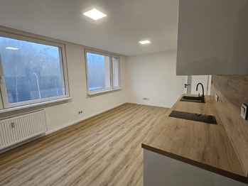 byt je světlý - Pronájem bytu 1+kk v družstevním vlastnictví 33 m², Kladno