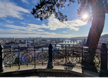 výhled z Letenských sadů - Prodej bytu 2+kk v osobním vlastnictví 80 m², Praha 7 - Bubeneč