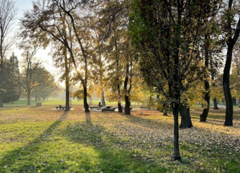 park Královské Vinohrady - Prodej bytu 2+kk v osobním vlastnictví 80 m², Praha 7 - Bubeneč