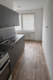 Pronájem bytu 1+1 v osobním vlastnictví 38 m², Kyjov