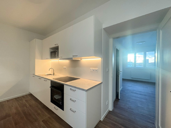 Prodej bytu 1+1 v osobním vlastnictví 43 m², Ostrava