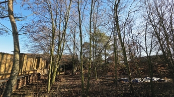 Prodej výrobních prostor 170 m², Poštovice