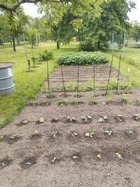 Pronájem bytu 1+1 v osobním vlastnictví 45 m², Náměšť nad Oslavou