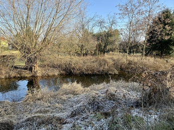 Prodej pozemku 1809 m², Pohořelice