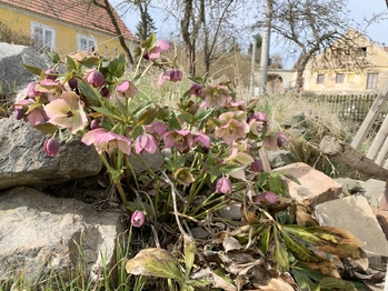 Prodej domu 87 m², Velká Buková