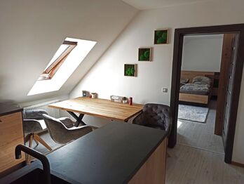 Pronájem bytu 1+1 v osobním vlastnictví 41 m², Mutějovice