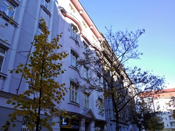 Pronájem bytu 2+1 v osobním vlastnictví 49 m², Praha 3 - Žižkov