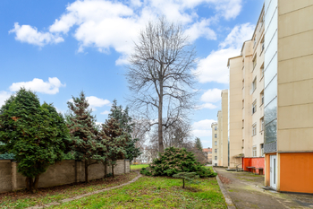Prodej bytu 3+kk v osobním vlastnictví 95 m², Praha 6 - Dejvice