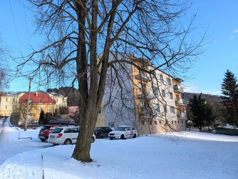 Pronájem bytu 1+1 v osobním vlastnictví 36 m², Tisá