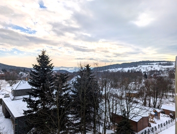 Pronájem bytu 1+1 v osobním vlastnictví 36 m², Tisá