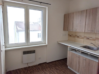Pronájem bytu 1+1 v osobním vlastnictví 36 m², Tisá