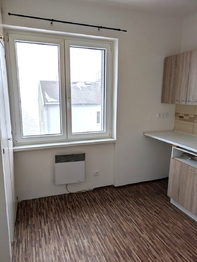 Pronájem bytu 1+1 v osobním vlastnictví 36 m², Tisá