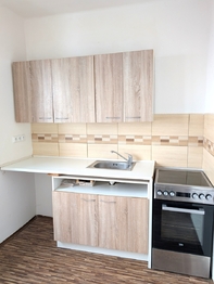 Pronájem bytu 1+1 v osobním vlastnictví 36 m², Tisá