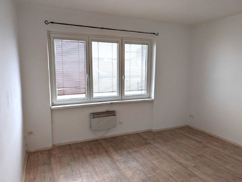 Pronájem bytu 1+1 v osobním vlastnictví 36 m², Tisá