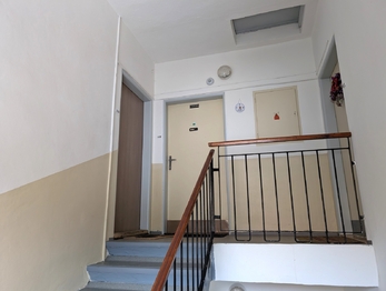 Pronájem bytu 1+1 v osobním vlastnictví 36 m², Tisá