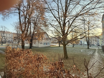 Pronájem bytu 1+1 v osobním vlastnictví 51 m², Znojmo