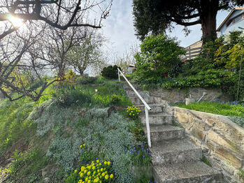 Pronájem domu 80 m², Olomouc