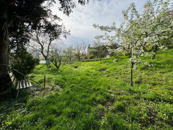 Pronájem domu 80 m², Olomouc