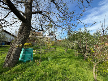 Pronájem domu 80 m², Olomouc