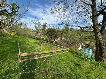 Pronájem domu 80 m², Olomouc