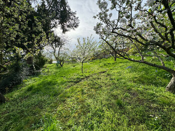 Pronájem domu 80 m², Olomouc