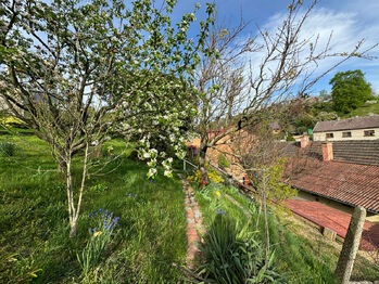 Pronájem domu 80 m², Olomouc