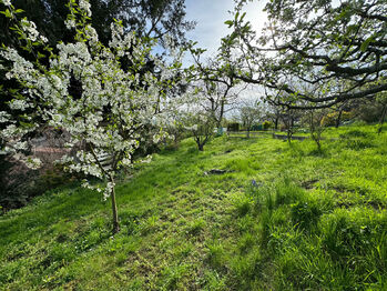 Pronájem domu 80 m², Olomouc