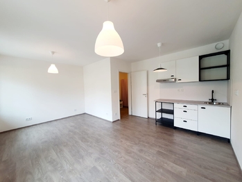 Pronájem bytu 1+kk v osobním vlastnictví 33 m², Liberec