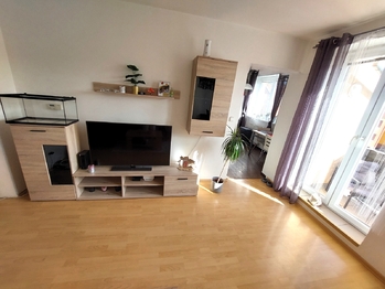 Pronájem bytu 3+1 v osobním vlastnictví 68 m², Nížkovice