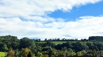 Pronájem bytu 3+1 v osobním vlastnictví 68 m², Nížkovice